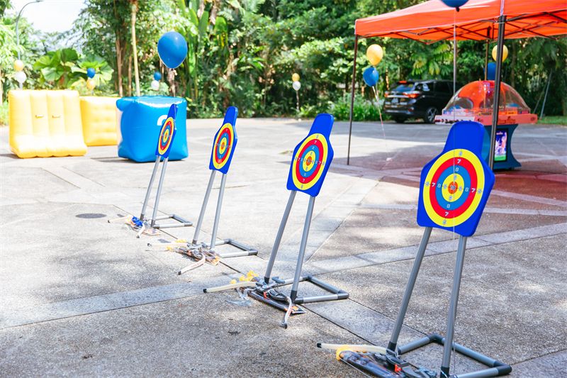 Archery targets on a lawn