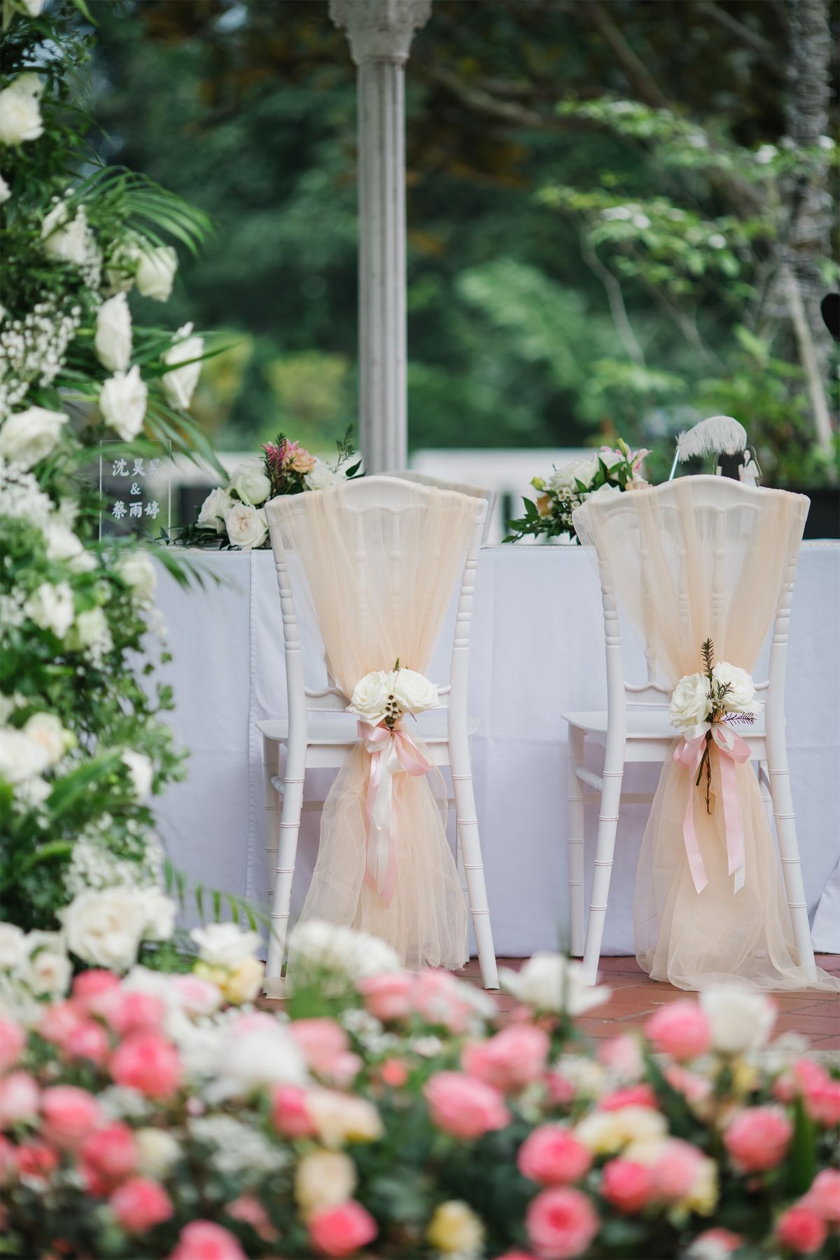 Chairs with sheer ribbons and pink roses